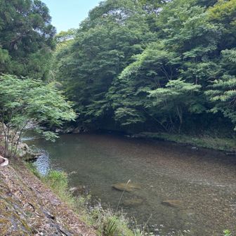清滝川のトイレと駐車場のある人気スポット。こっちは子どももいっぱいいた。流れも緩くてぷかぷか浮いたらそりゃ楽しいやろ。