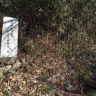 ほたるの入口まで来ました
折り返し