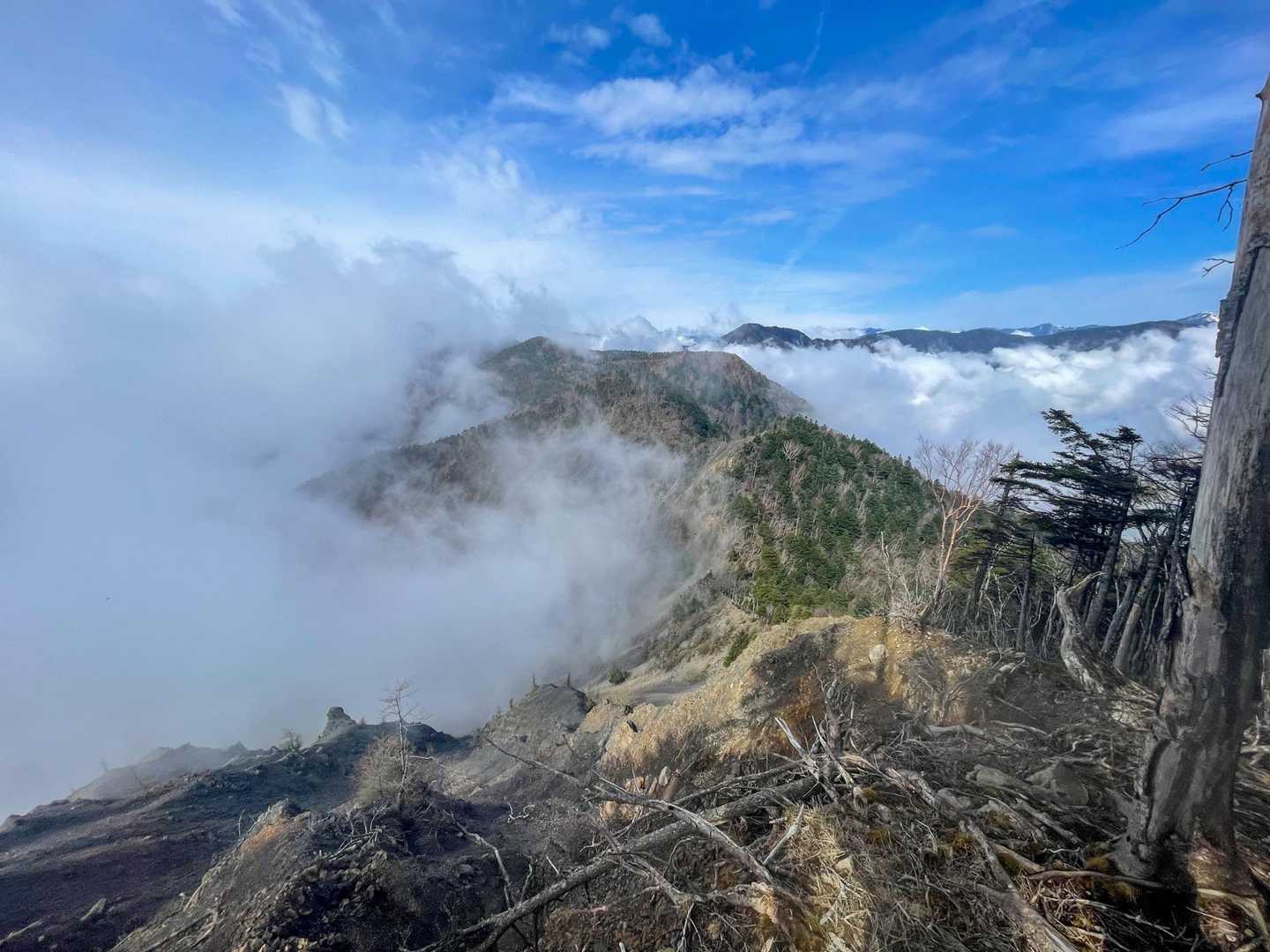 大谷崩登山口-新窪乗越-大谷嶺 往復コースの写真