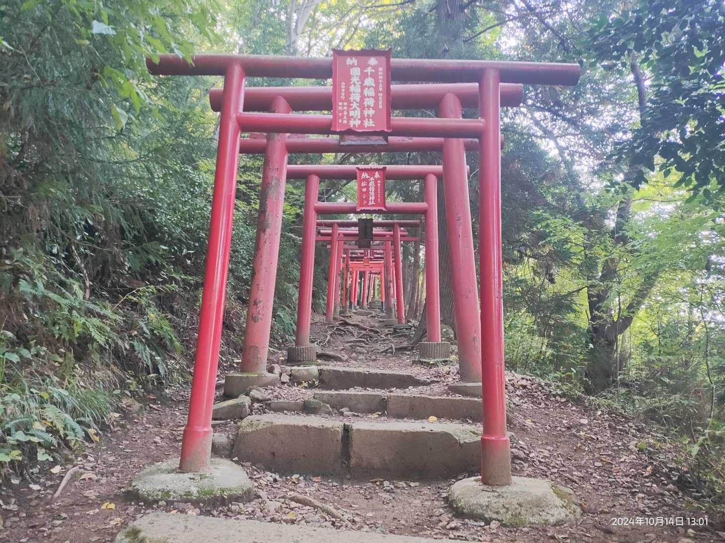 千歳山 周回コースの写真