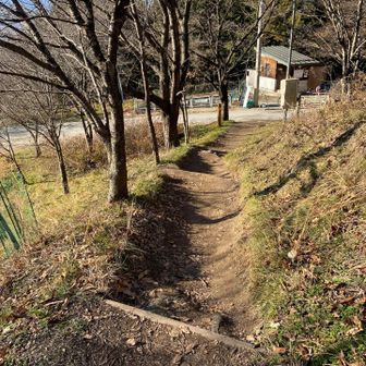 帰って来ました
このコースは人がたくさん入ってるから🐻は比較的安心？
でも、注意⚠️して入ってね