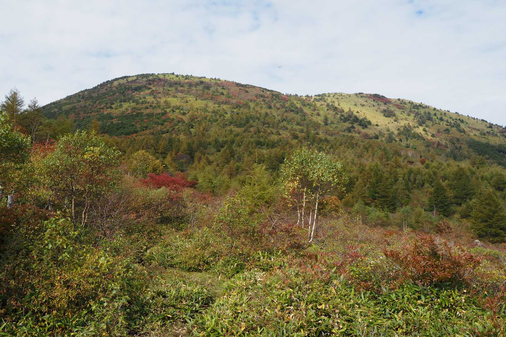湯の丸山