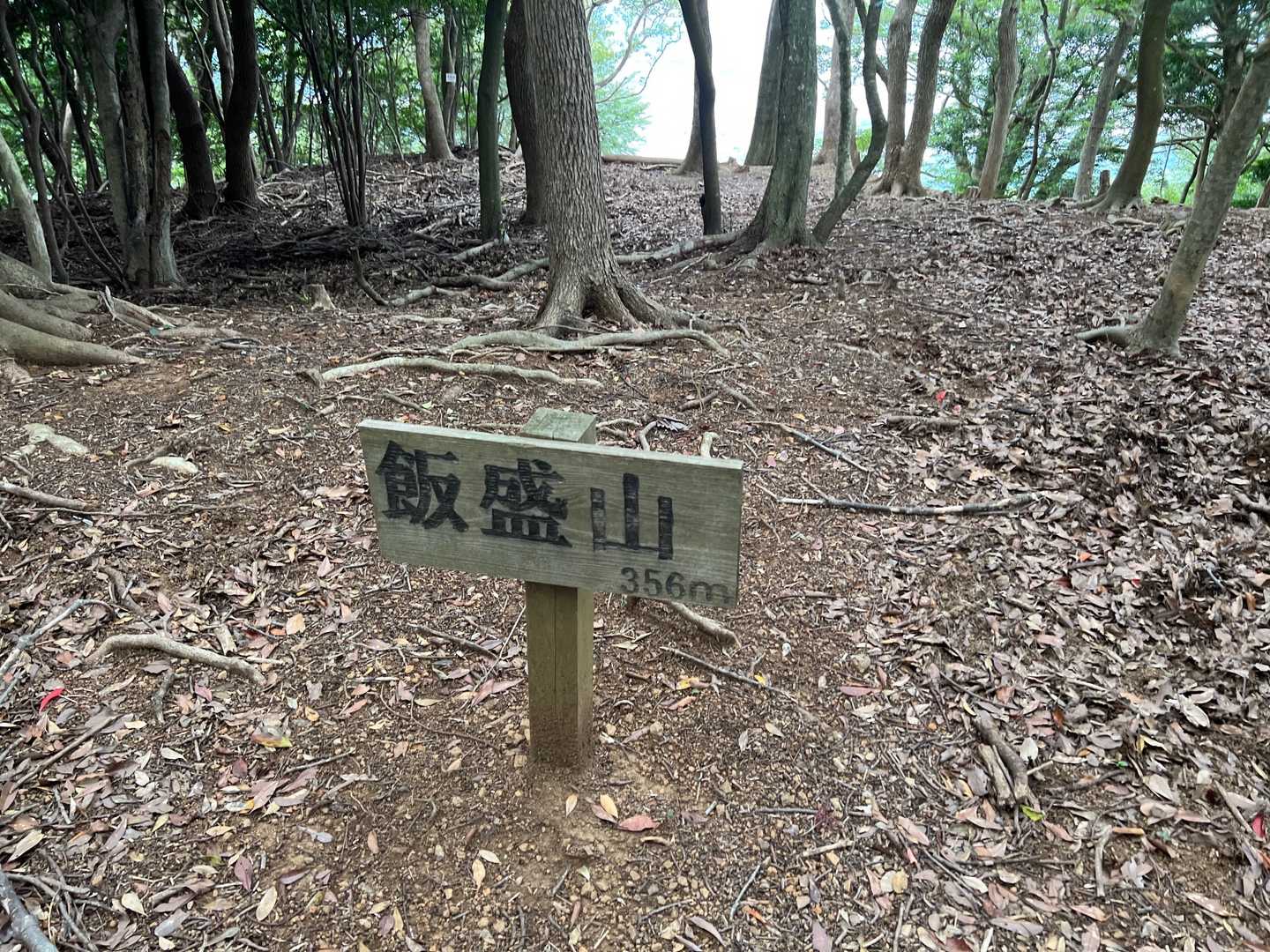 道中撮らなかったけど、いつもの感じの樹林帯
