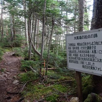 なんか、熱いものを感じますね