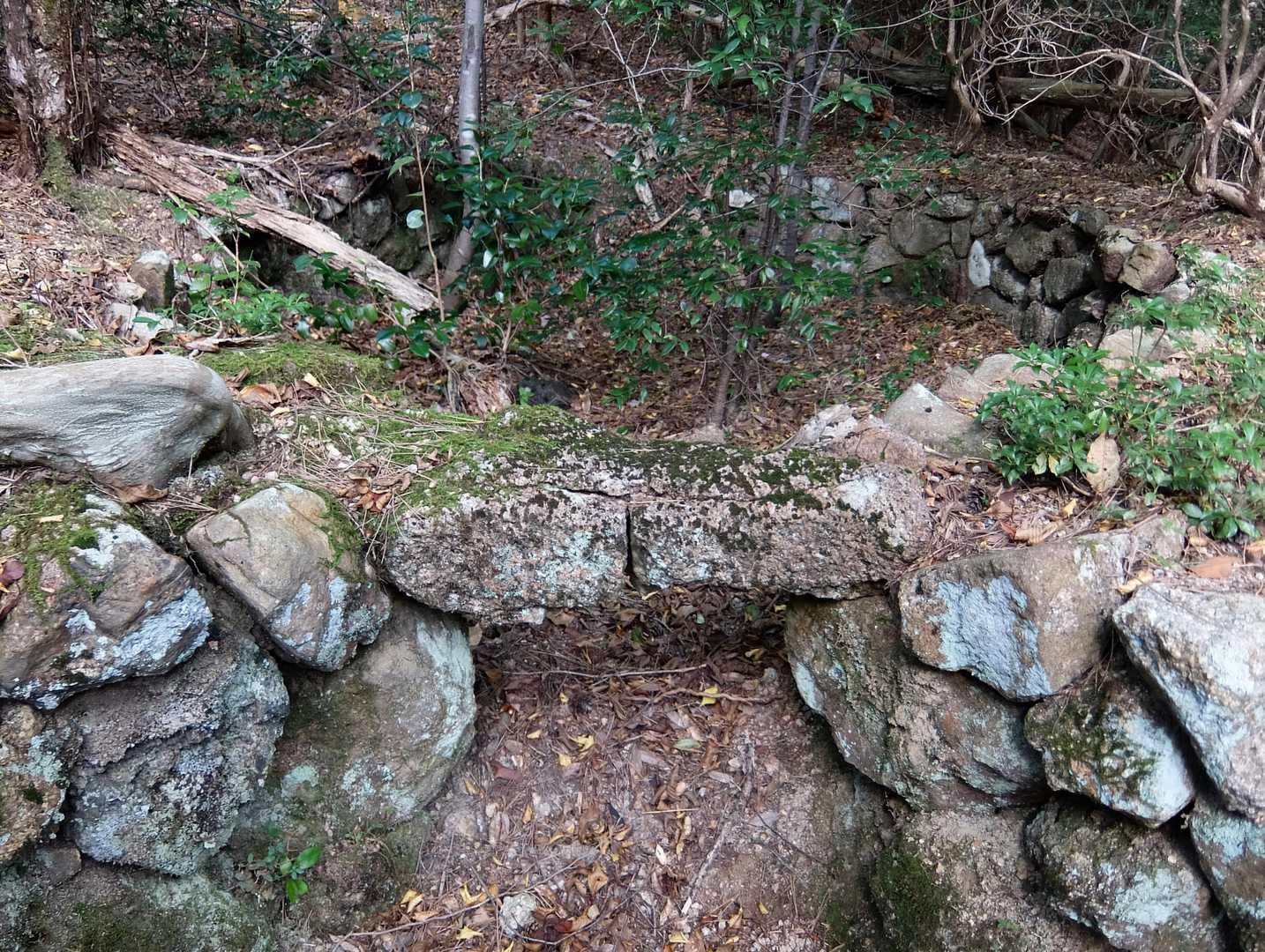 焚口が残る炭焼き跡
登山道脇に2ヵ所ほどありました。
戦後の農閑期に盛んだったのかな～
知らんけど^^v