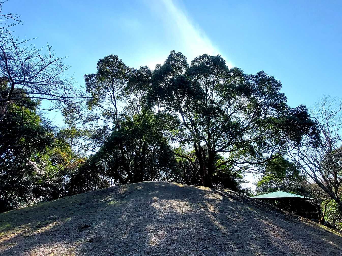 小高い半円形の☝️に山頂がある。それで月見🎑と名付けたのかなぁ～🌠