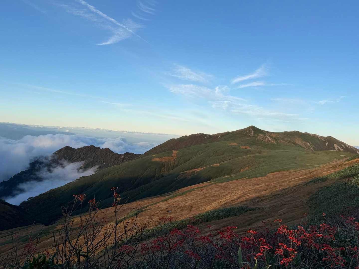 湯沢峰-梶川峰-胎内山-門内岳-北股岳-梅花皮岳-烏帽子岳 縦走コースの写真