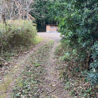 駐車場🅿️着いた😊
無事下山できて
めでたしめでたし🎶(*´ `)♡