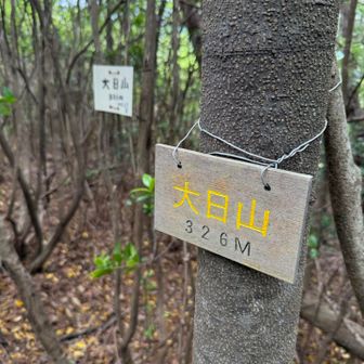 あっという間に大日山ピーク✨