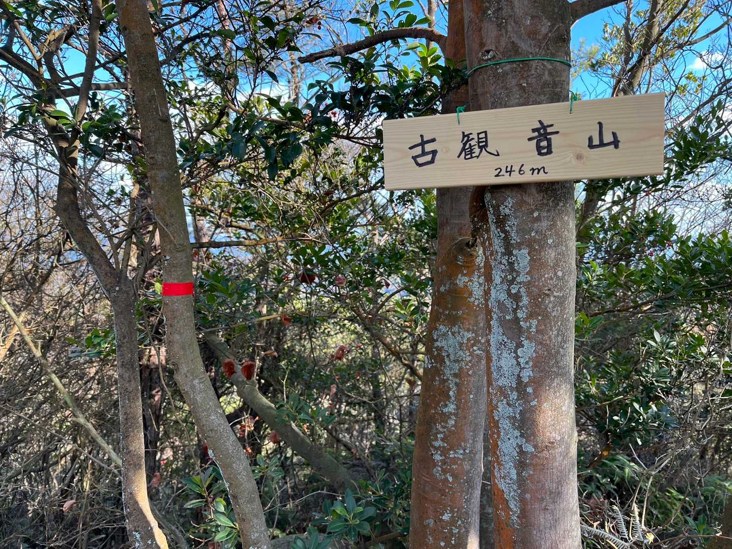 こちらが本当の山頂。展望はない。