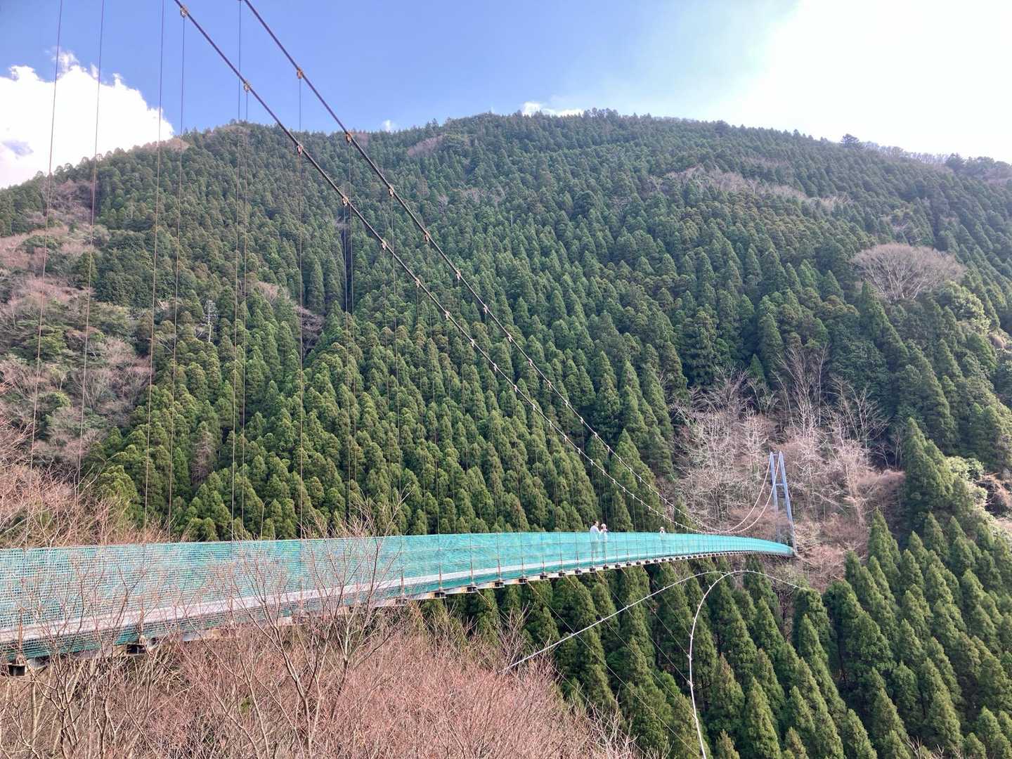 吊り橋渡ってみよう