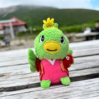 くまこ (﹡ˆᴗˆ﹡)