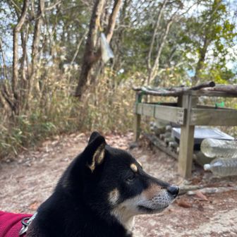 長等山最高点の看板と撮影