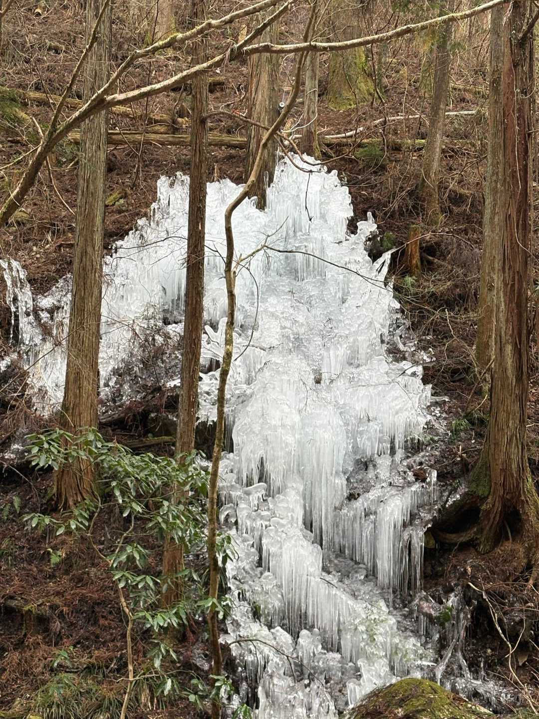 払沢（ほっさわ）の滝の手前に氷の芸術が。これは素晴らしい。見事‼️👏👏