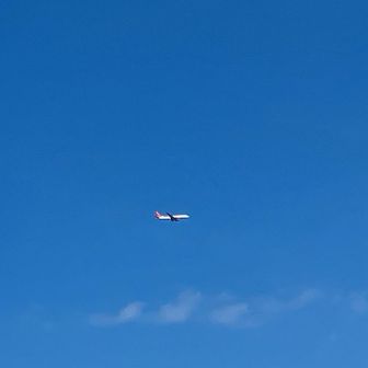 飛行機✈️Peach🍑A320