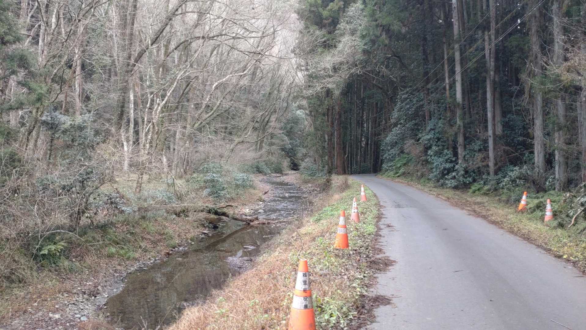 沢沿いの舗装道をテクテク🚶
