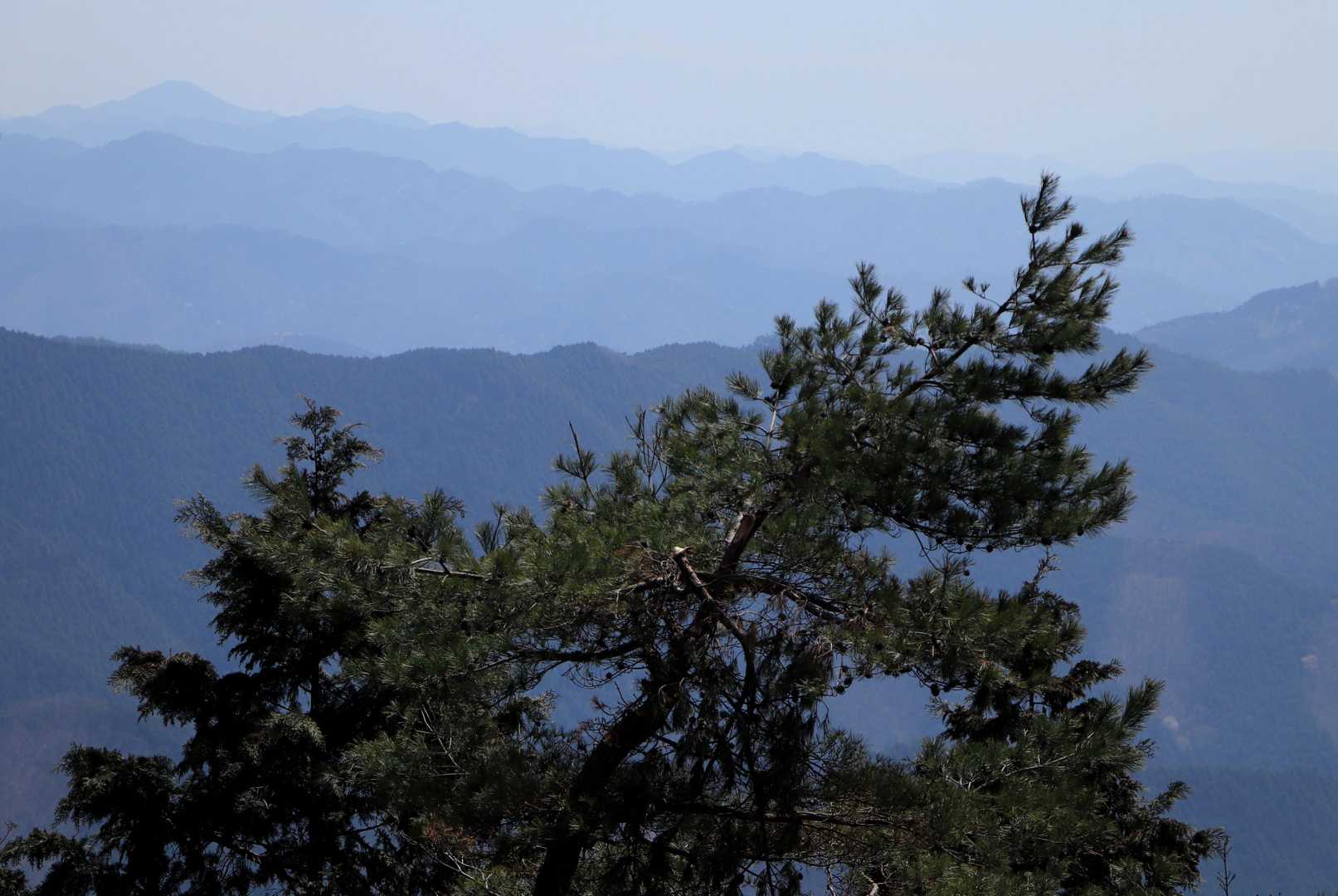 そのうち、道が平坦になれば山頂はすぐそこ