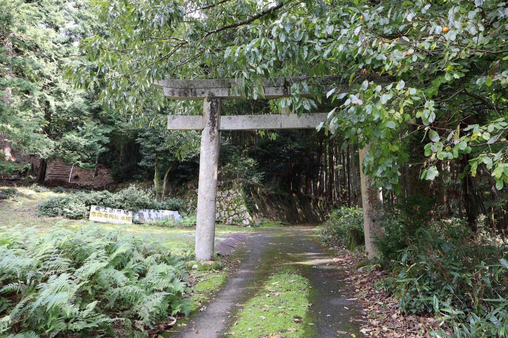 三角山 往復コースの写真