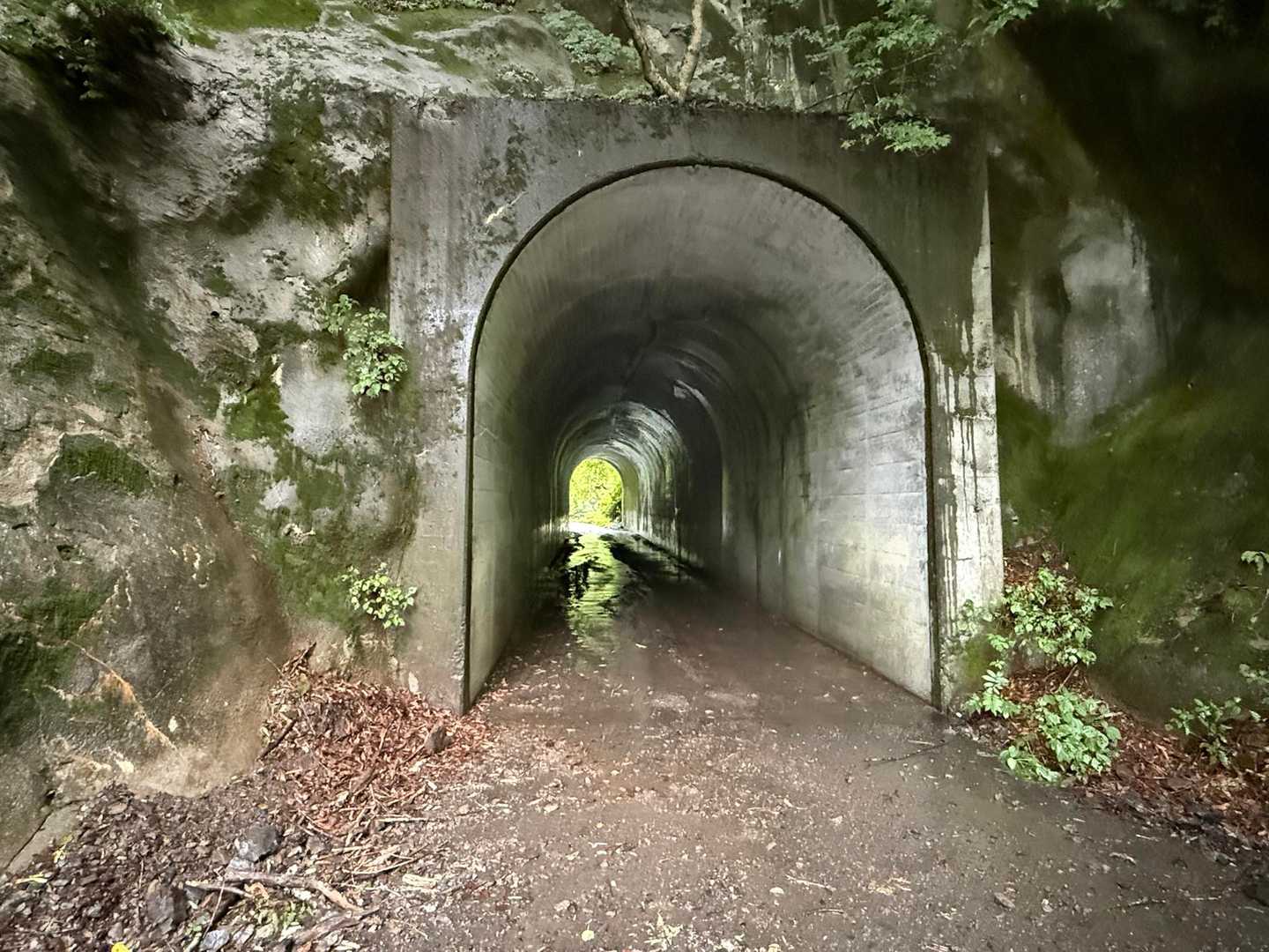 易老渡から先は未踏の地