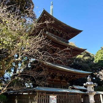 青空に映える三重塔✨