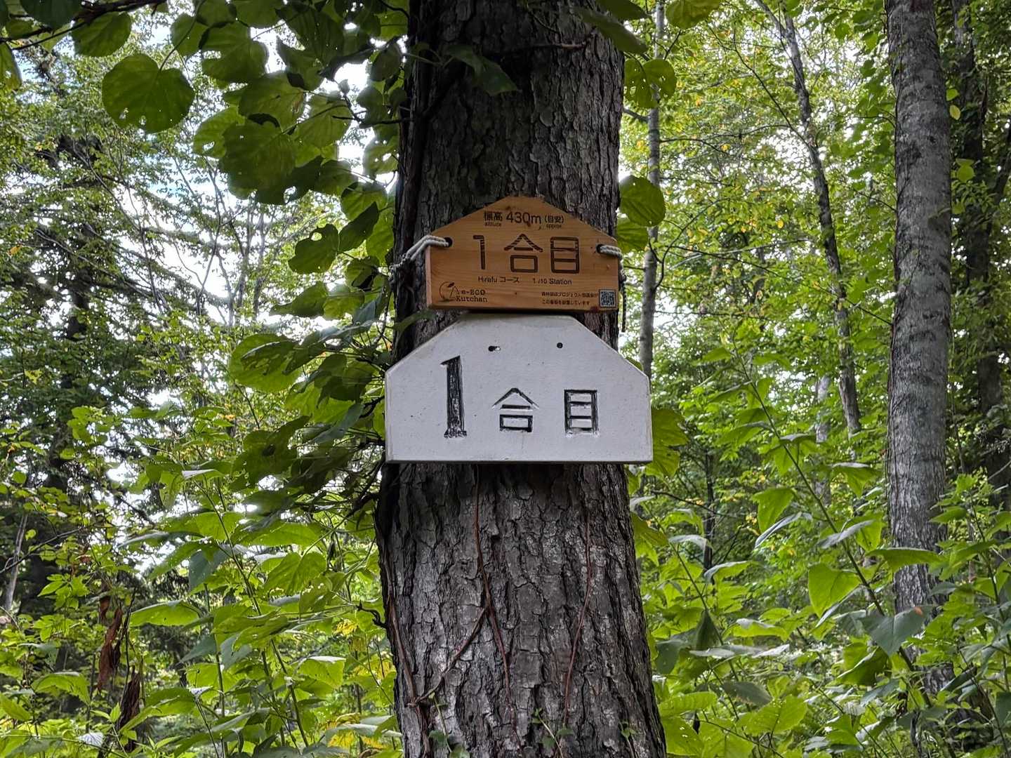 20分ほどで1合目。楽なのはここまで。

（最近、久し振りに登った山で思うこと…この山（このコース）ってこんなにきつかったっけ！）年相応かな？