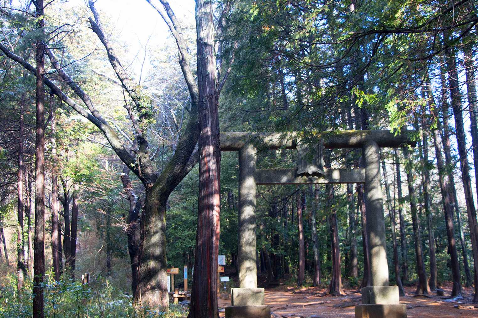 金刀比羅神社 一の鳥居をくぐって