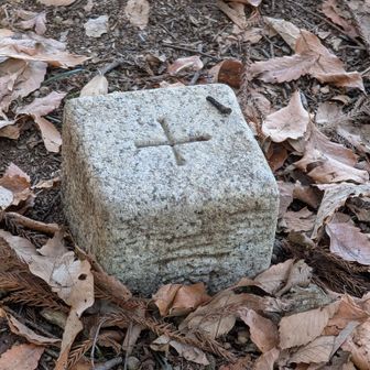 網代城山の三等三角点さま。