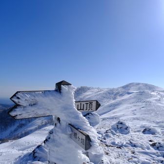 近くにあった山頂にも立ち寄るも、山頂標識は覆われて見えず😂
"経塚山"です❗️