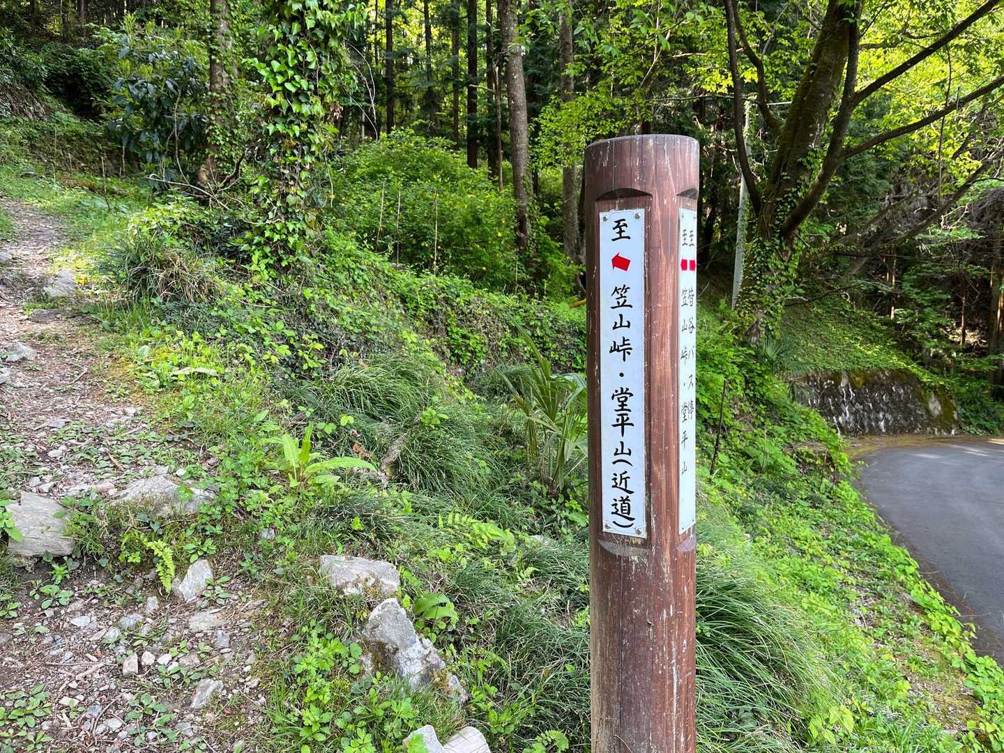 林道から山道に入ります
近道大好き❤ でも急斜面嫌い💦