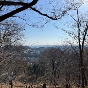 見晴らし場所からの眺め