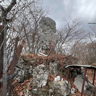 ふざけてごめんなさい🙏