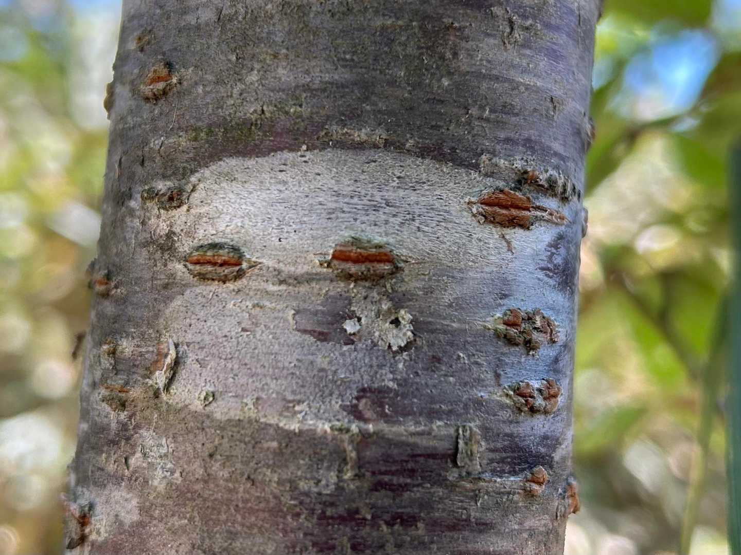 ナマケモノっち
こんな
顔やなかったかな(｡･ω･｡)