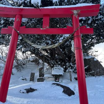 てっぺんにある鳥居⛩️くぐります

そして、今年のご挨拶と安全を祈って🙏