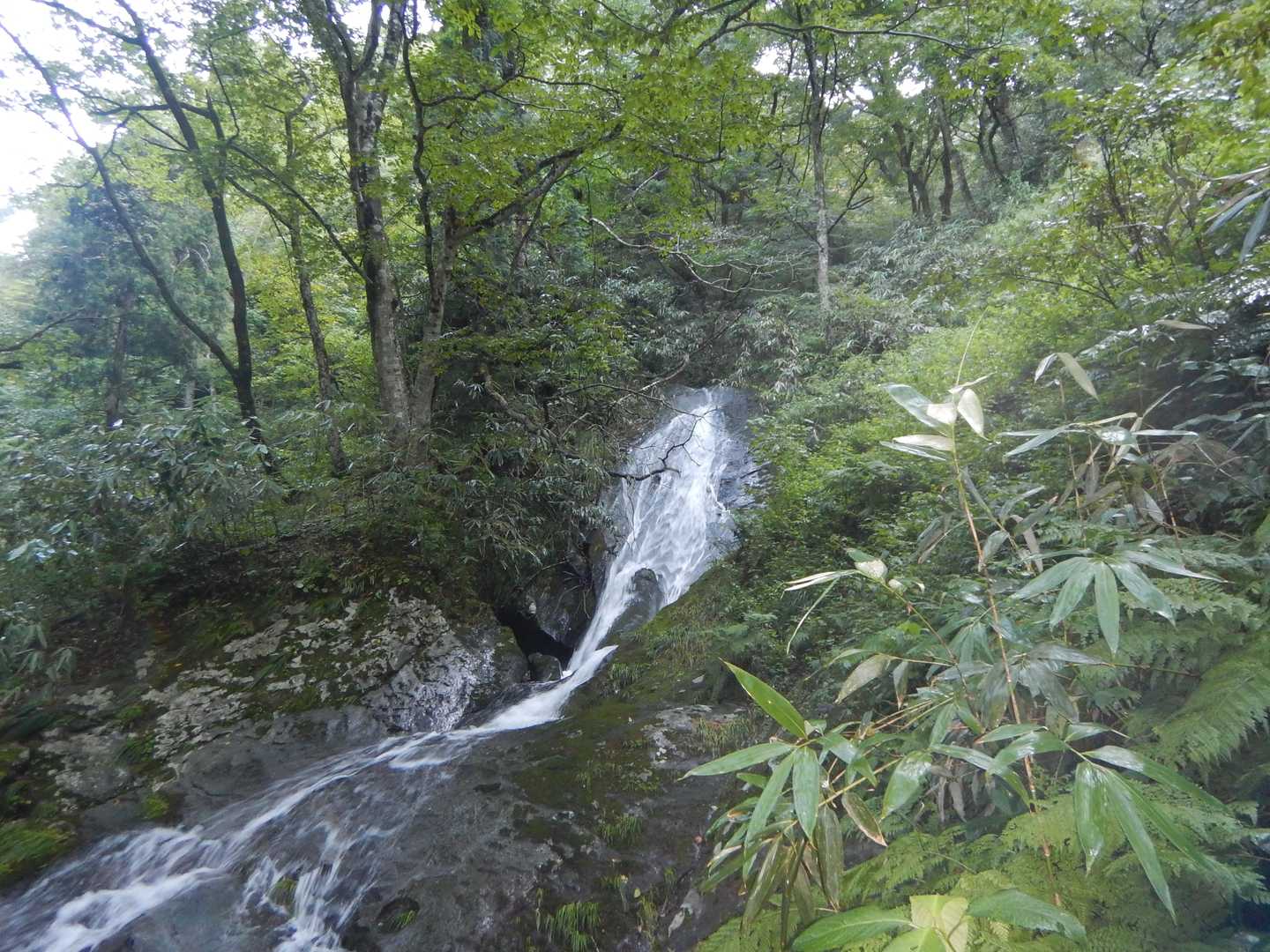 水量が多く、滝になっている