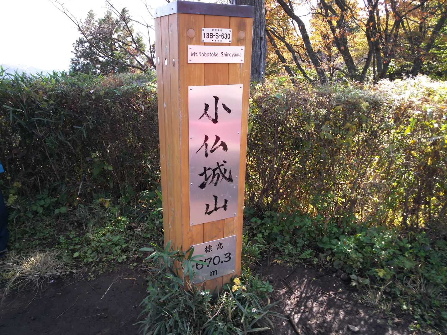 高尾山-城山 往復コースの写真
