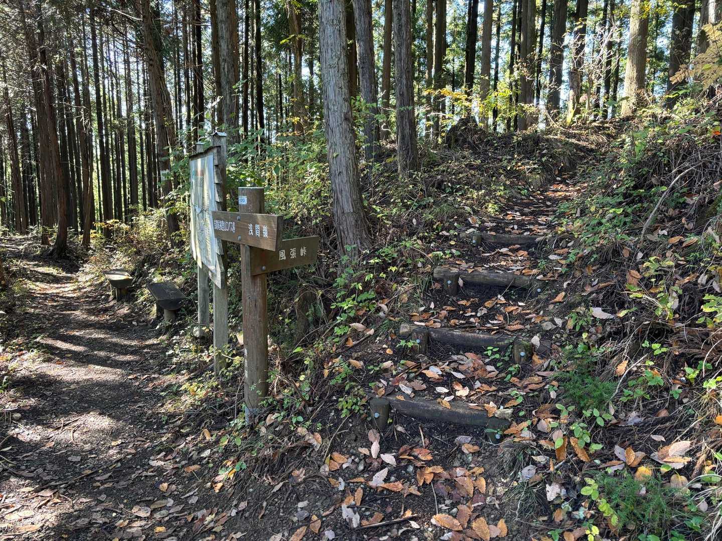 数馬分岐。真っ直ぐ進むと浅間尾根登山口へ
数馬の湯まで舗装路歩きが長くなるので、ここは右の風張峠方面へ