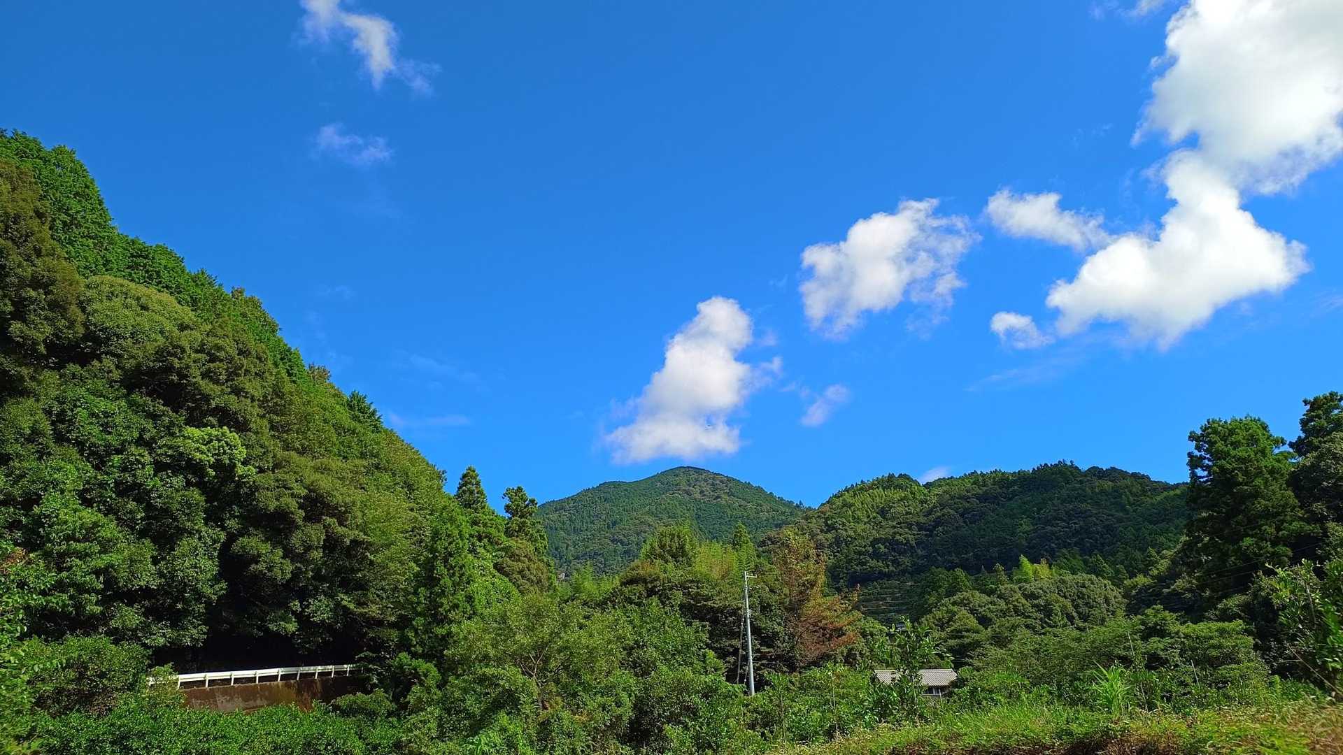 みかんロード暑いね〜☀