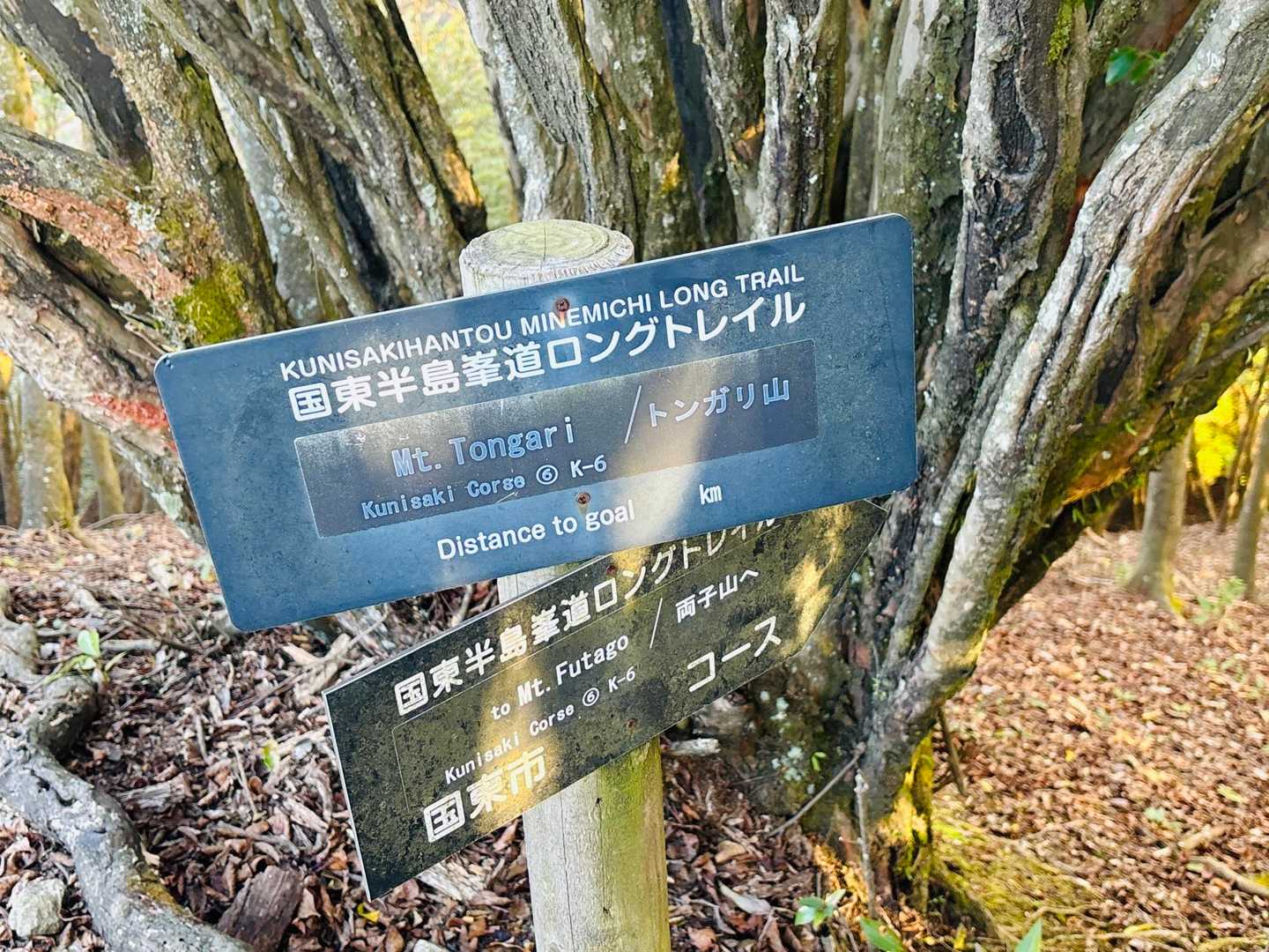 ロングトレイルコース