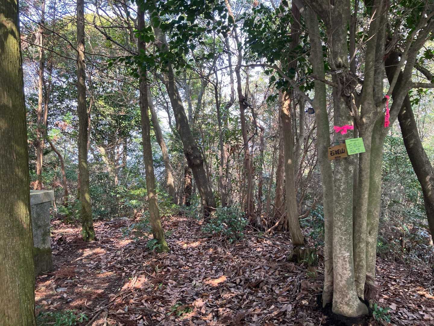 ②石城山（362m） 中国百名山 頂きです⛰️