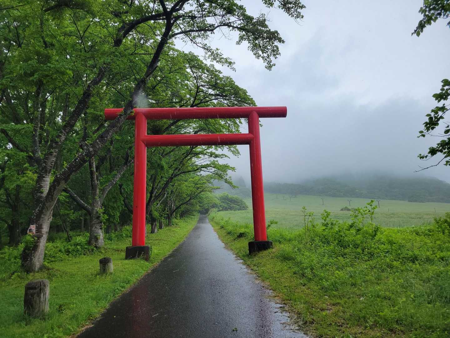 薬莱ガーデン登山口-薬莱神社-薬萊山-薬莱山登山口 縦走コースの写真