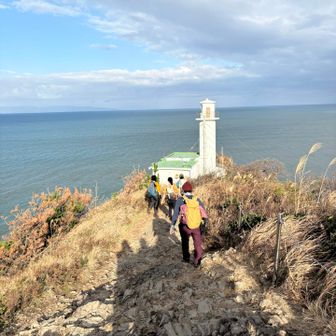 ゾロゾロ降ります