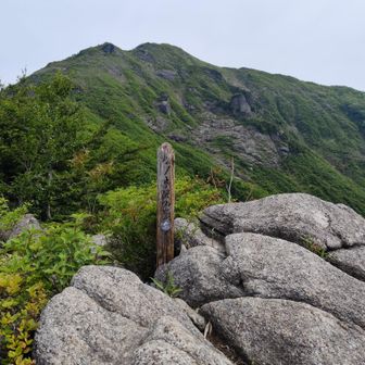 松ノ木沢の頭