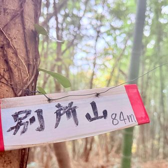 山頂までちゃんと来れました🙌