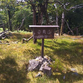 白鳥山頂上に着きましたが、涼しくて日差しが一寸柔らかいです☺️