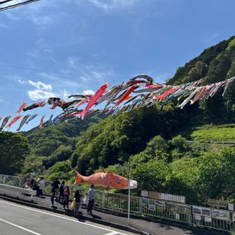 和田バス停前には、鯉のぼり。楽しい山行でした。