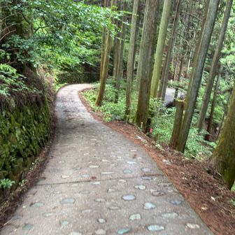 観光地通るの恥ずかしったな。やっとひっそりと走れる🏃‍➡️