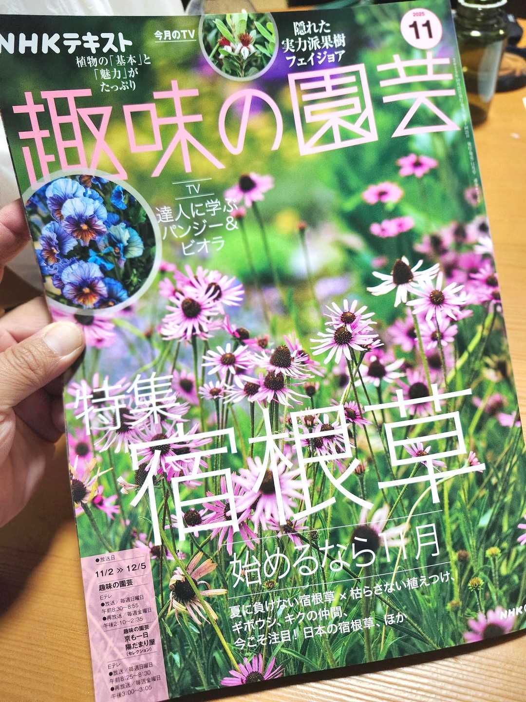すみれ図鑑という花を作ってから、いろんな / きまぐれ坊やさんの