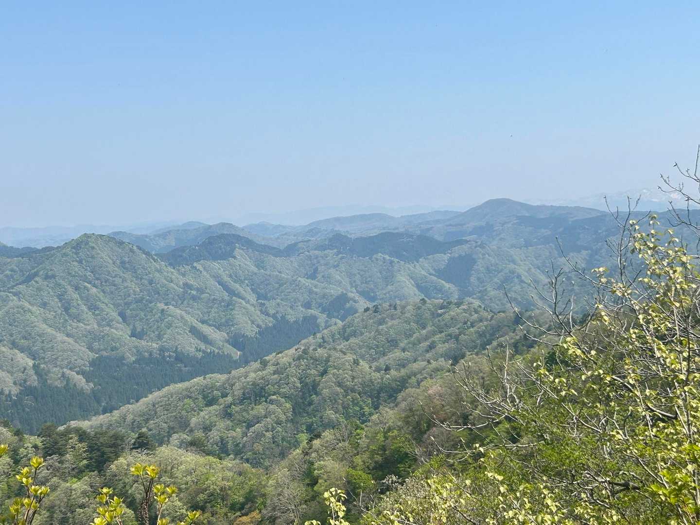 大倉岳も見えます👌