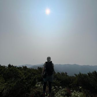 山頂着☀️