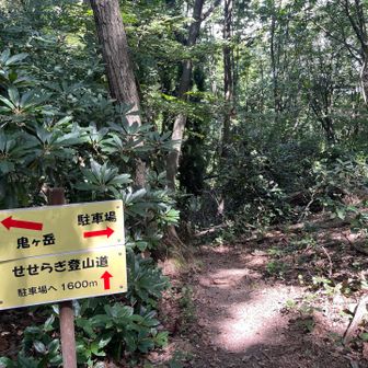 今日は山の日だから….久しぶりにせせらぎコースに✨
久しぶりにしんさんともお会いしたよん🎶